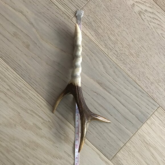Roe deer antler twisted hair stick - Hand-carved - Picture 6 of 9